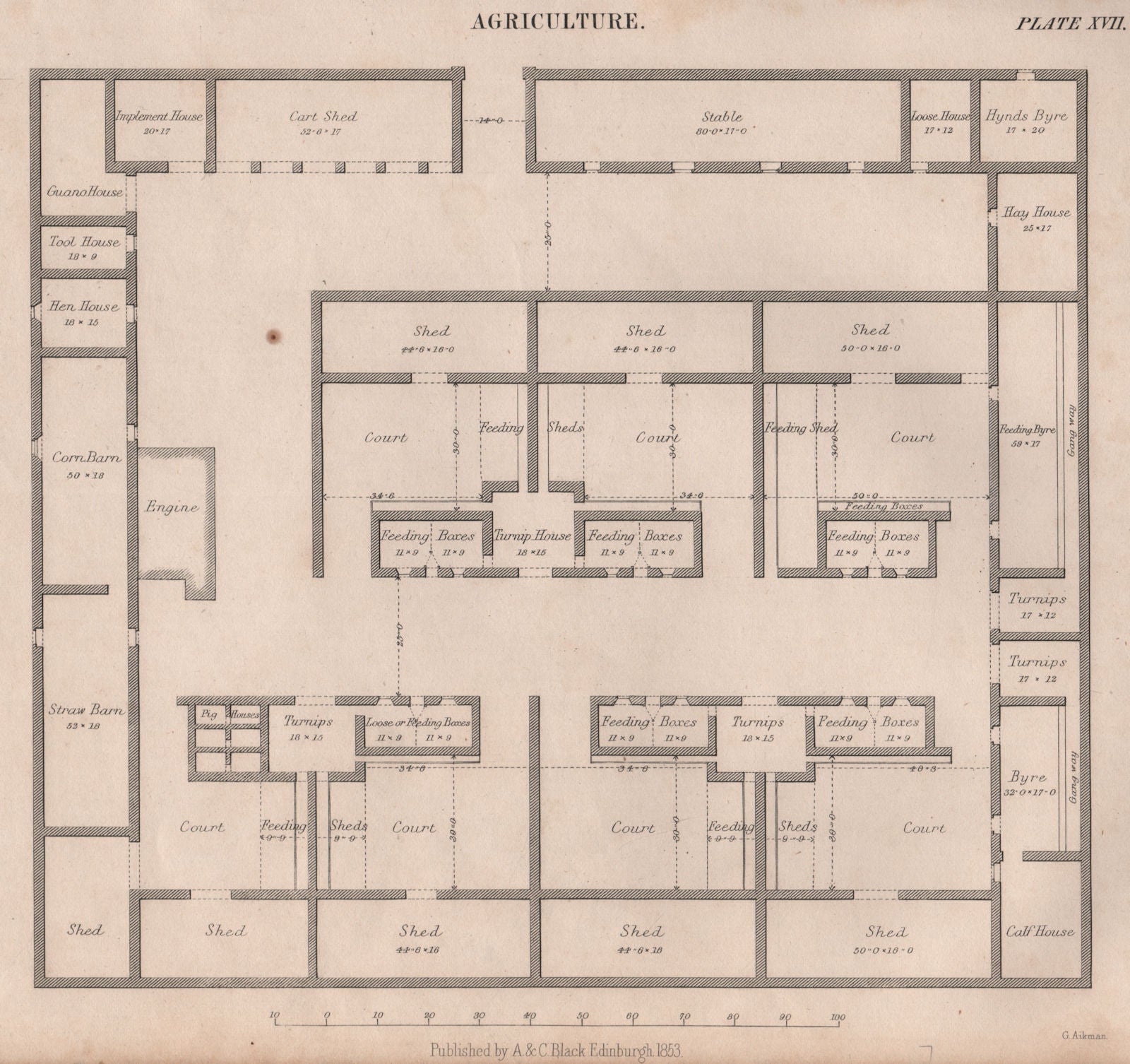 Agriculture. Farm buildings plan. Court shed feeding boxes. BRITANNICA 1860